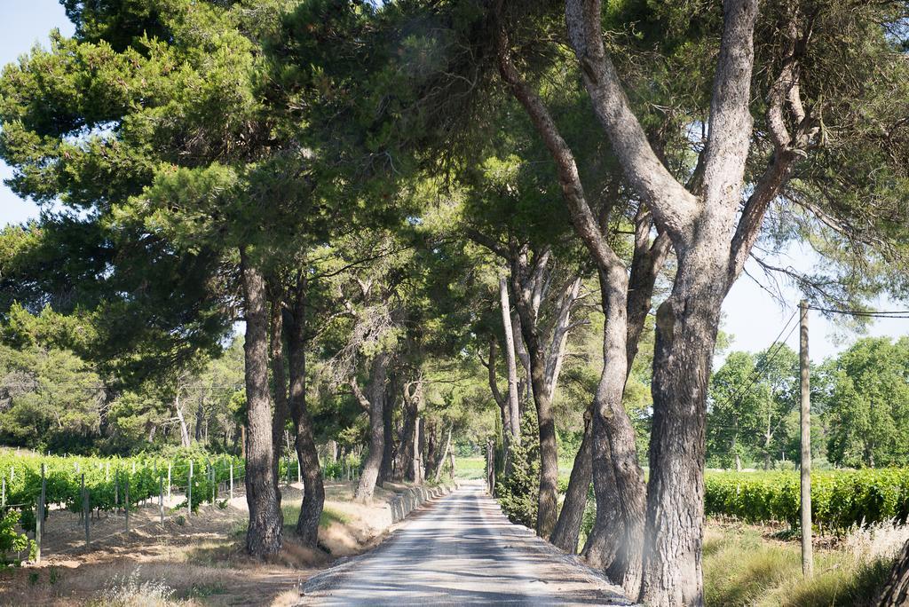 Вілла Chateau Canet Rustiques Екстер'єр фото