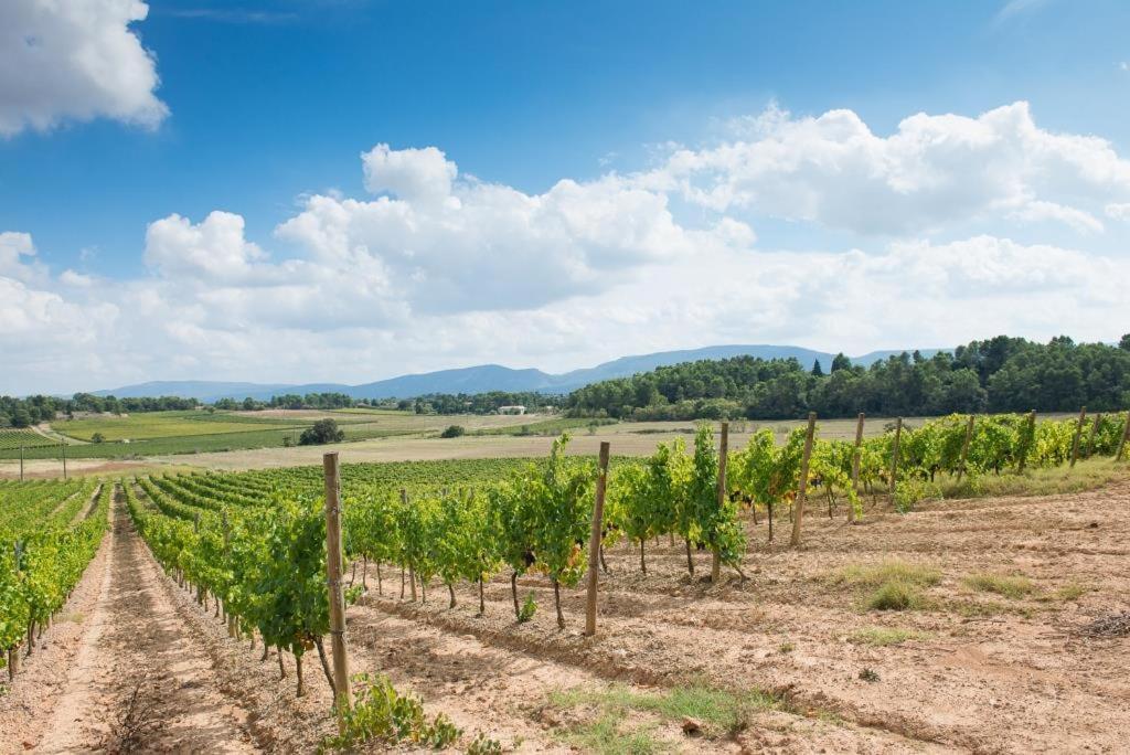 Вілла Chateau Canet Rustiques Екстер'єр фото